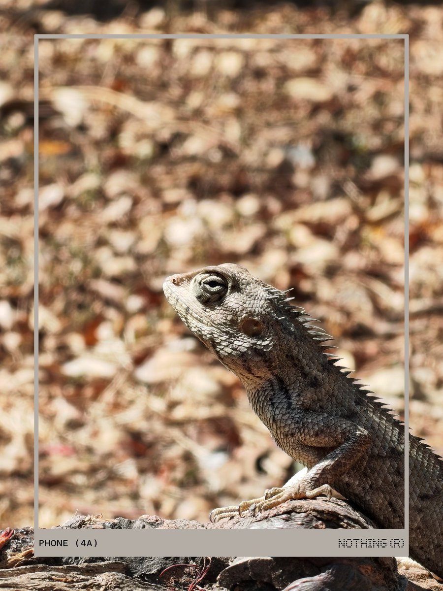 Debayan Bag tweet media