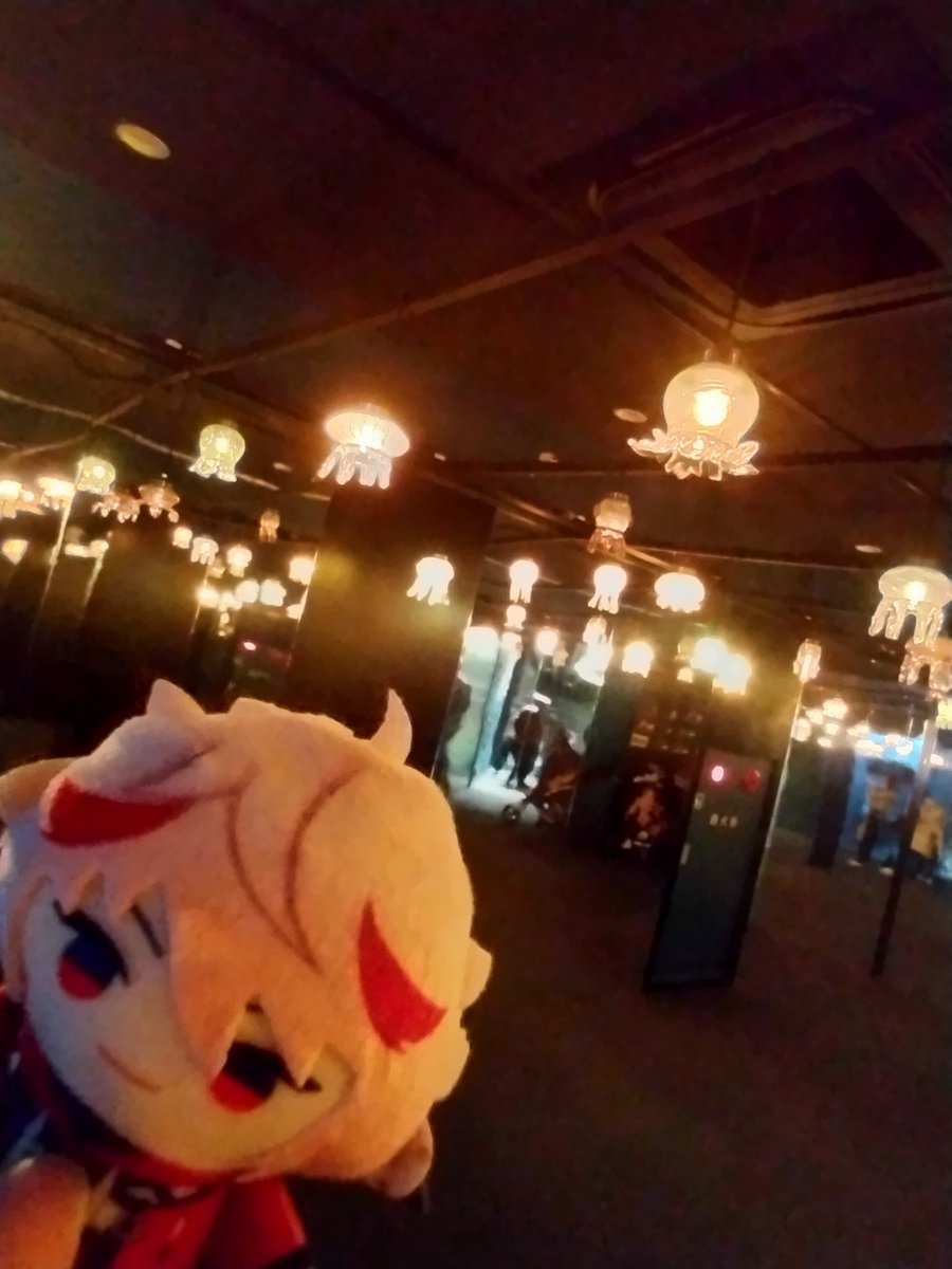 Beb7Pg's tweet photo. きれいだった https://t.co/J9KYliJV4y