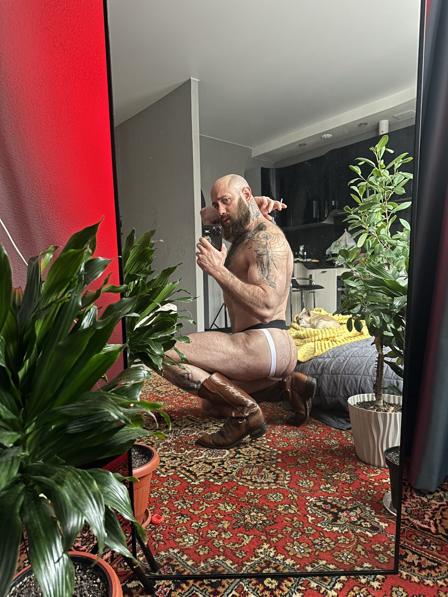 Johny Island tweet media