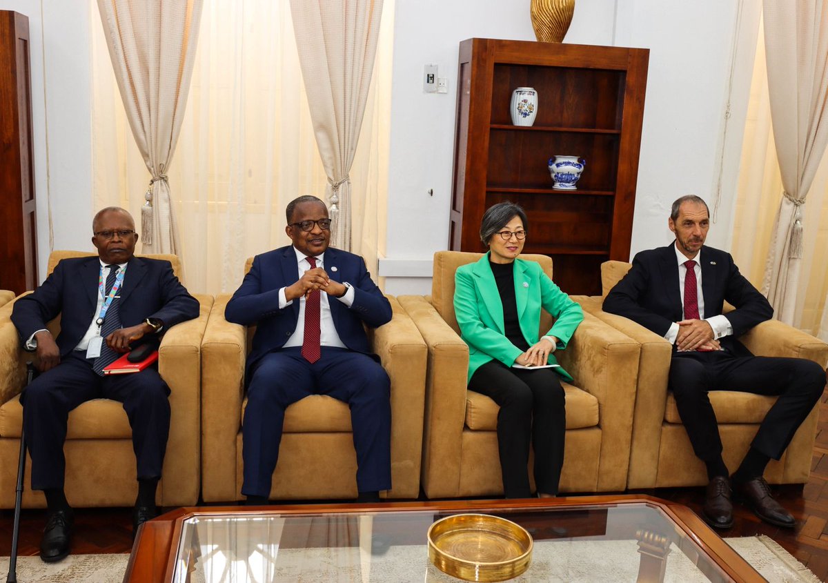 FAO Afrique centrale tweet media