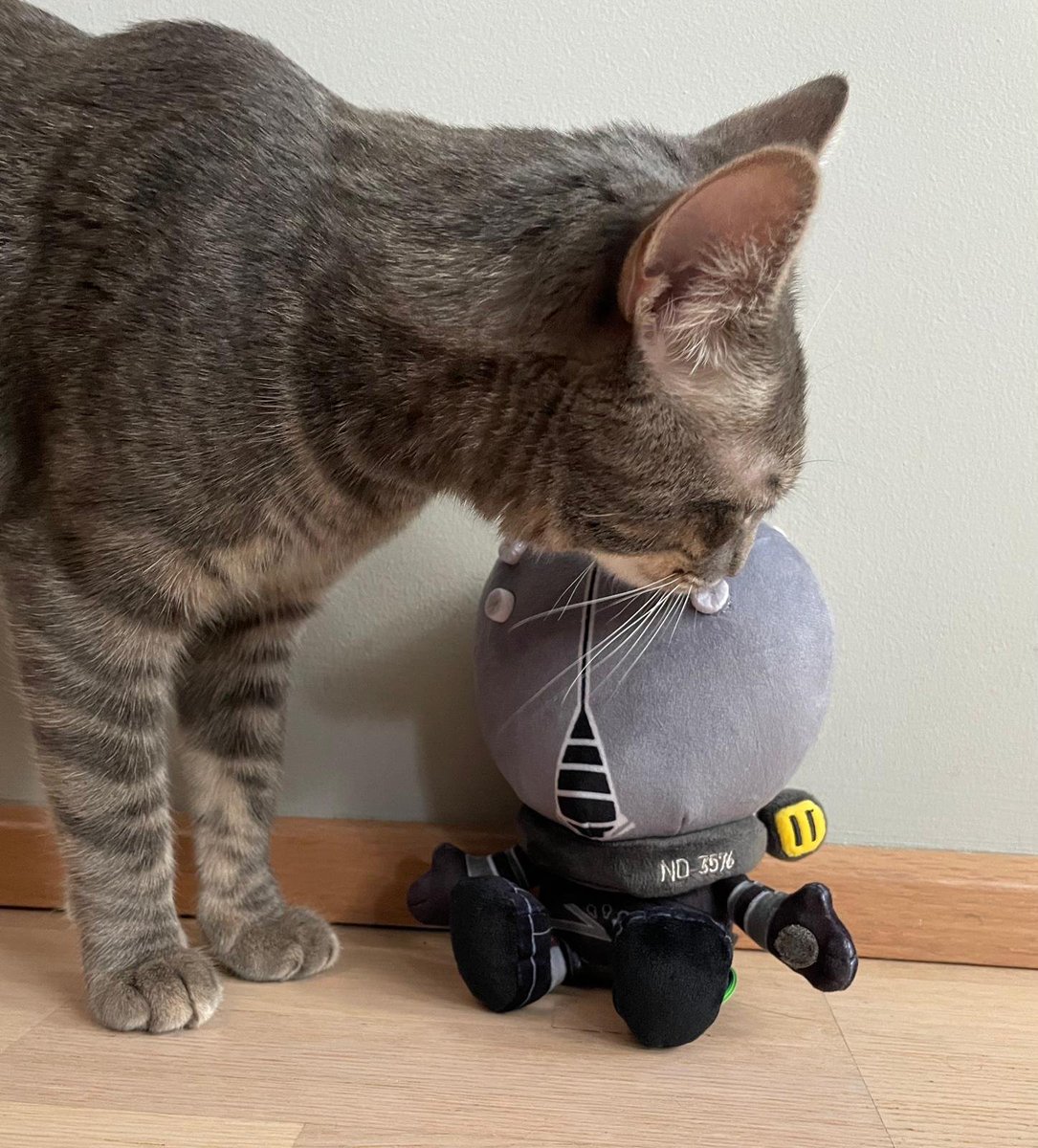 Sander Flisijn tweet media