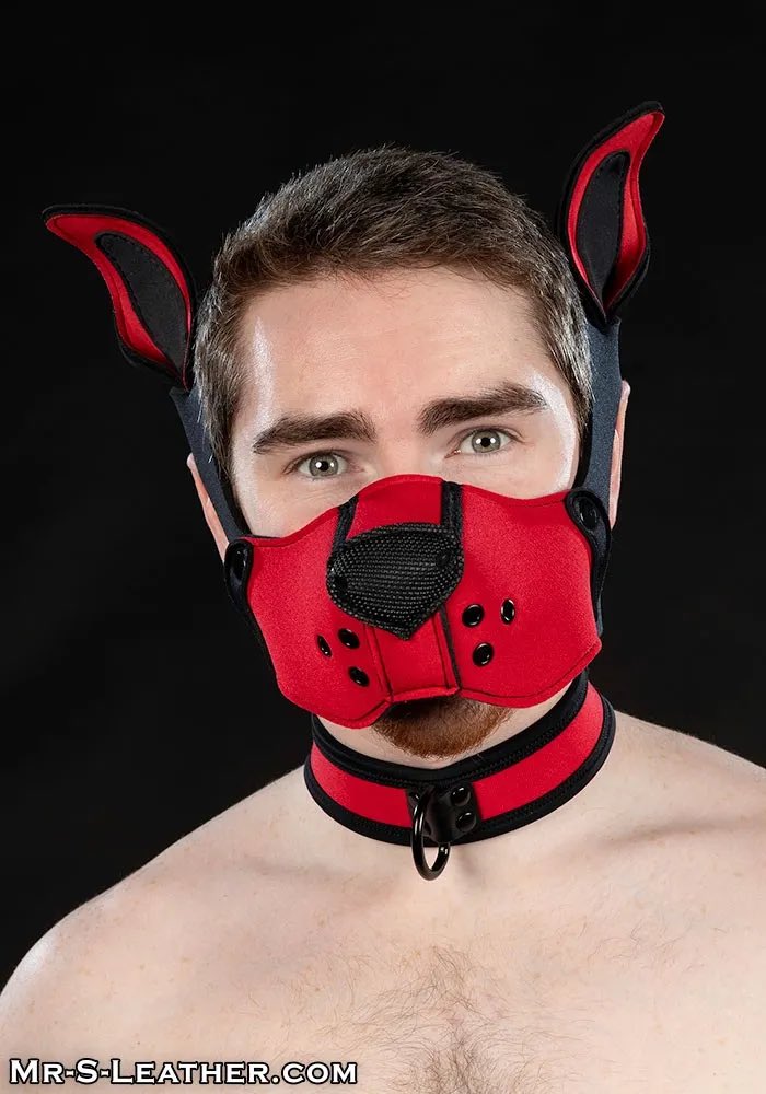 Clonezone tweet media