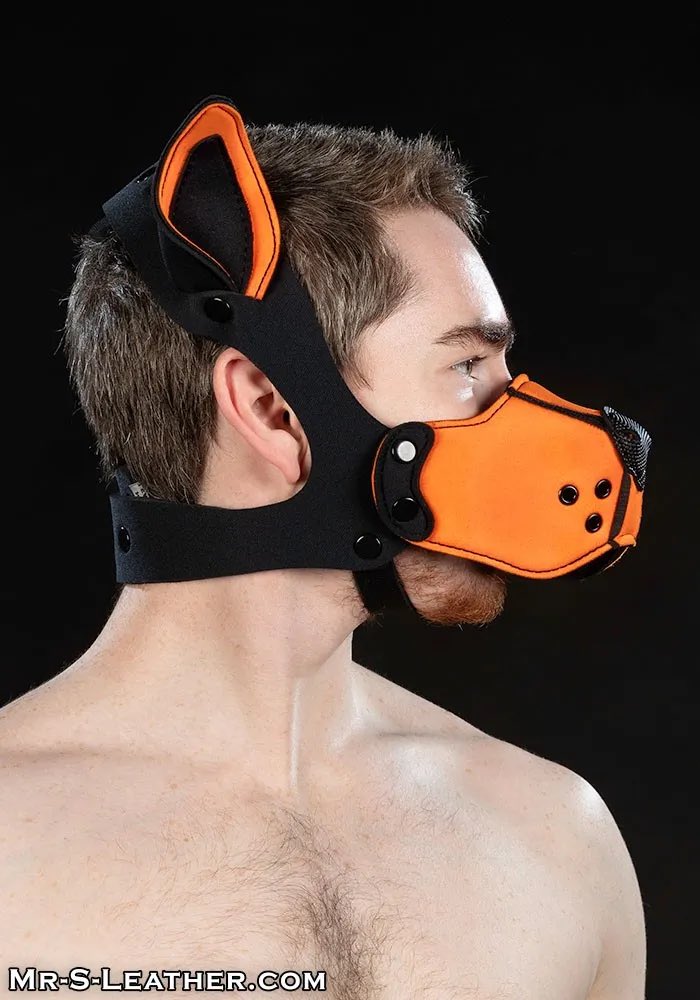 Clonezone tweet media