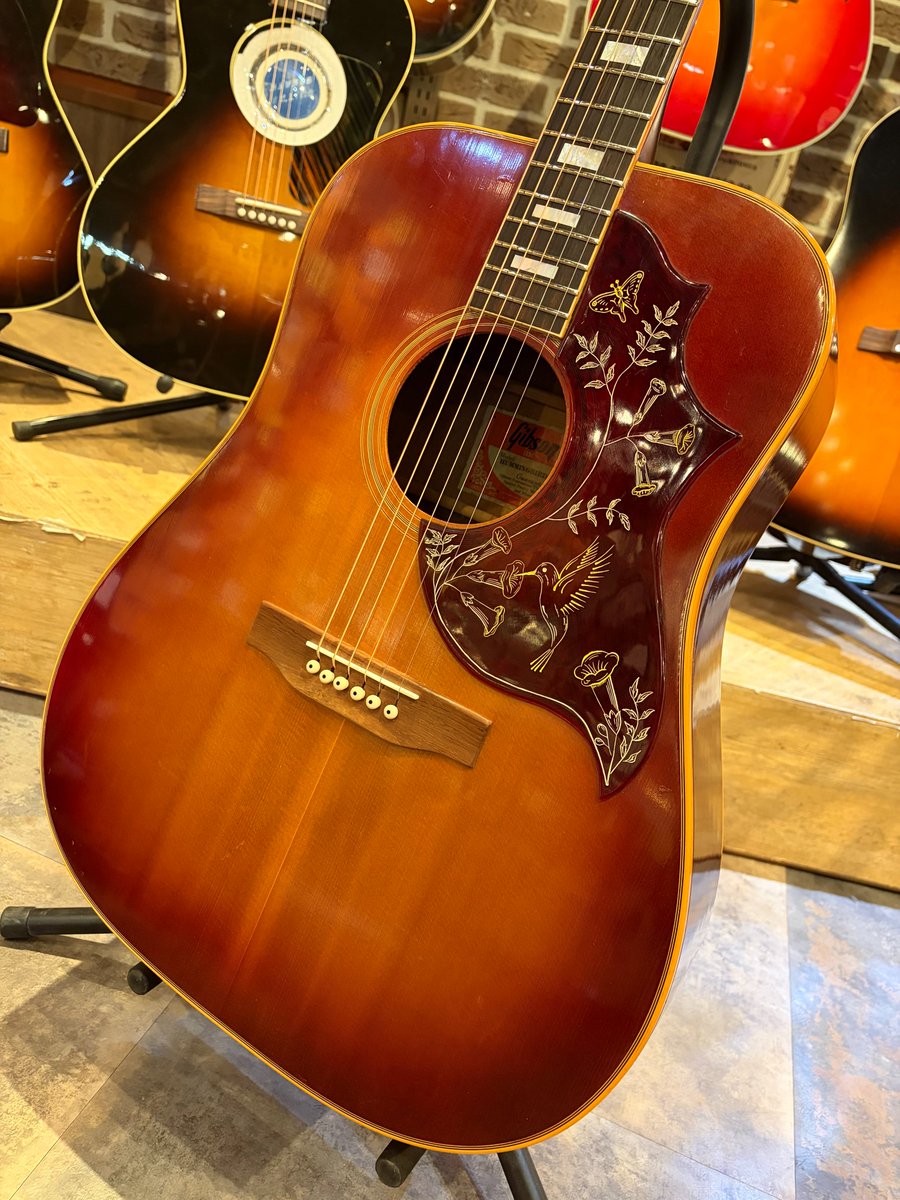 美麗なヴィンテージ・ハミングバード！】 『Gibson Hummingbird Custom