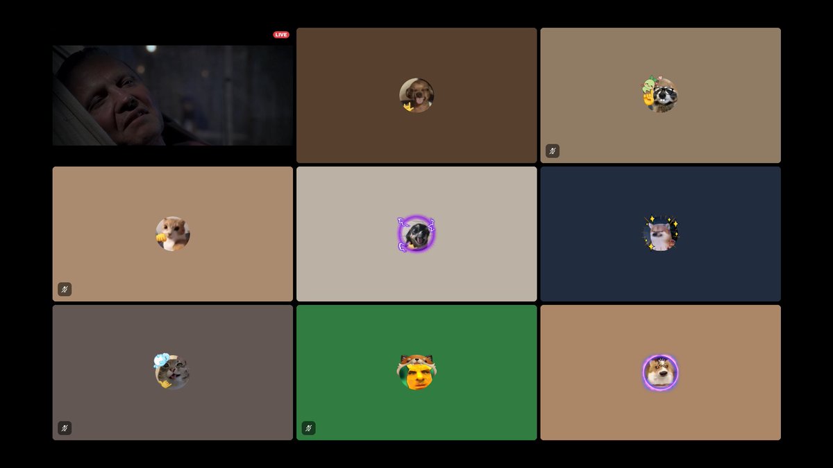 ˚₊✩‧₊ irapple 🍎🍃 tweet media