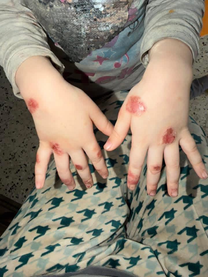 Dr.SAEB_FROM_GAZA tweet media