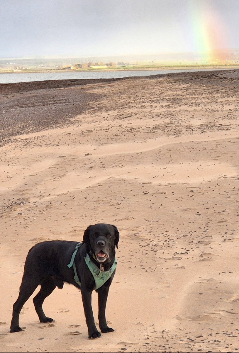 𝗣𝗘𝗗 tweet media