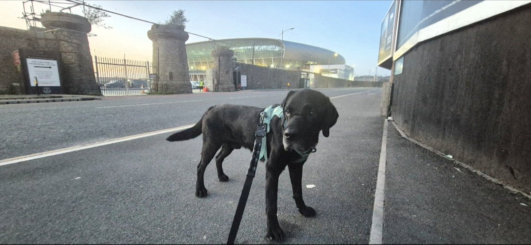 𝗣𝗘𝗗 tweet media