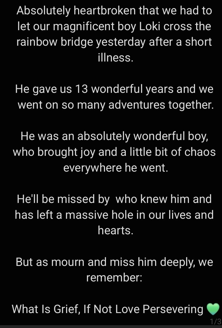 𝗣𝗘𝗗 tweet media