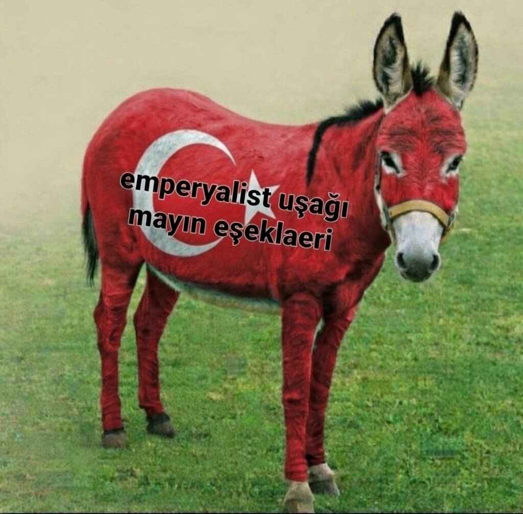 merwan_gexi's tweet photo. @AslaBursaa @FightcClup1 Ez Qûze dîya tenim !) ez Jina tenim, ez dergûşa we dizê keranim. Lawè kehpa Balkan' nan 🍆🍆🍆 https://t.co/w44Onbd1EF