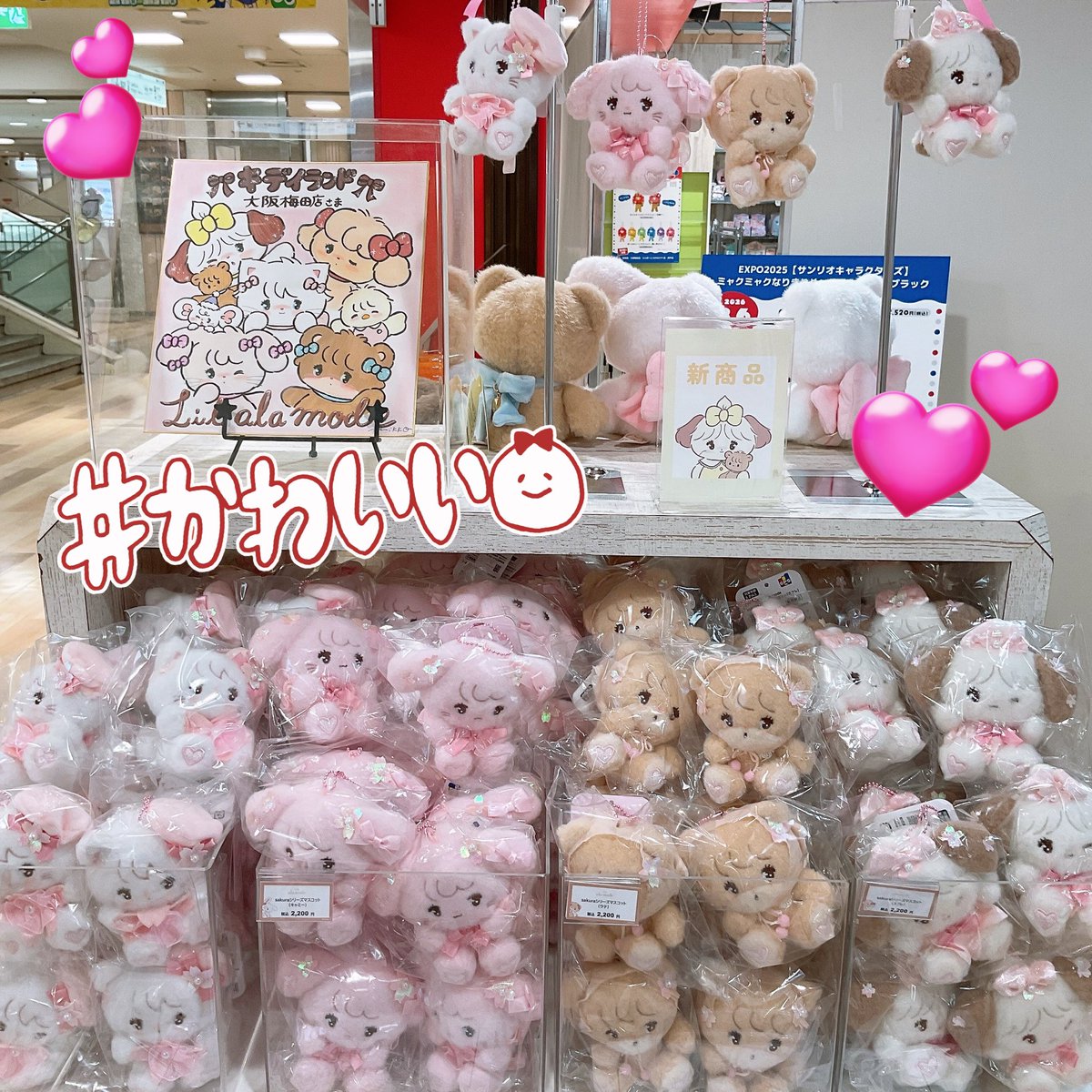 キデイランド大阪梅田店【公式】 tweet media