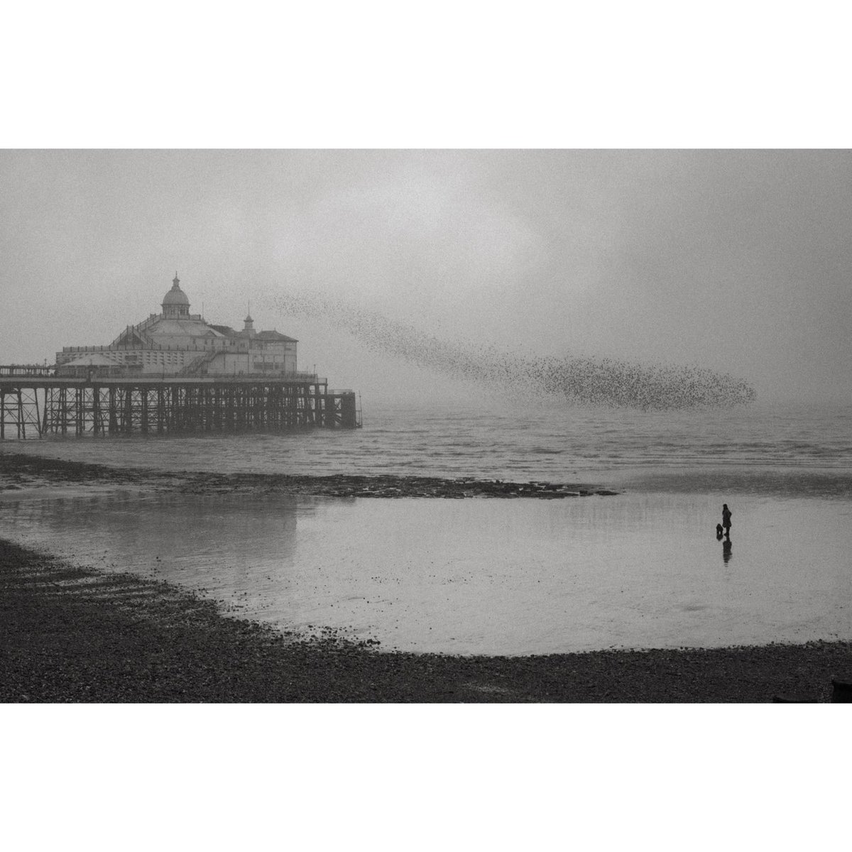 Derren Brown tweet media