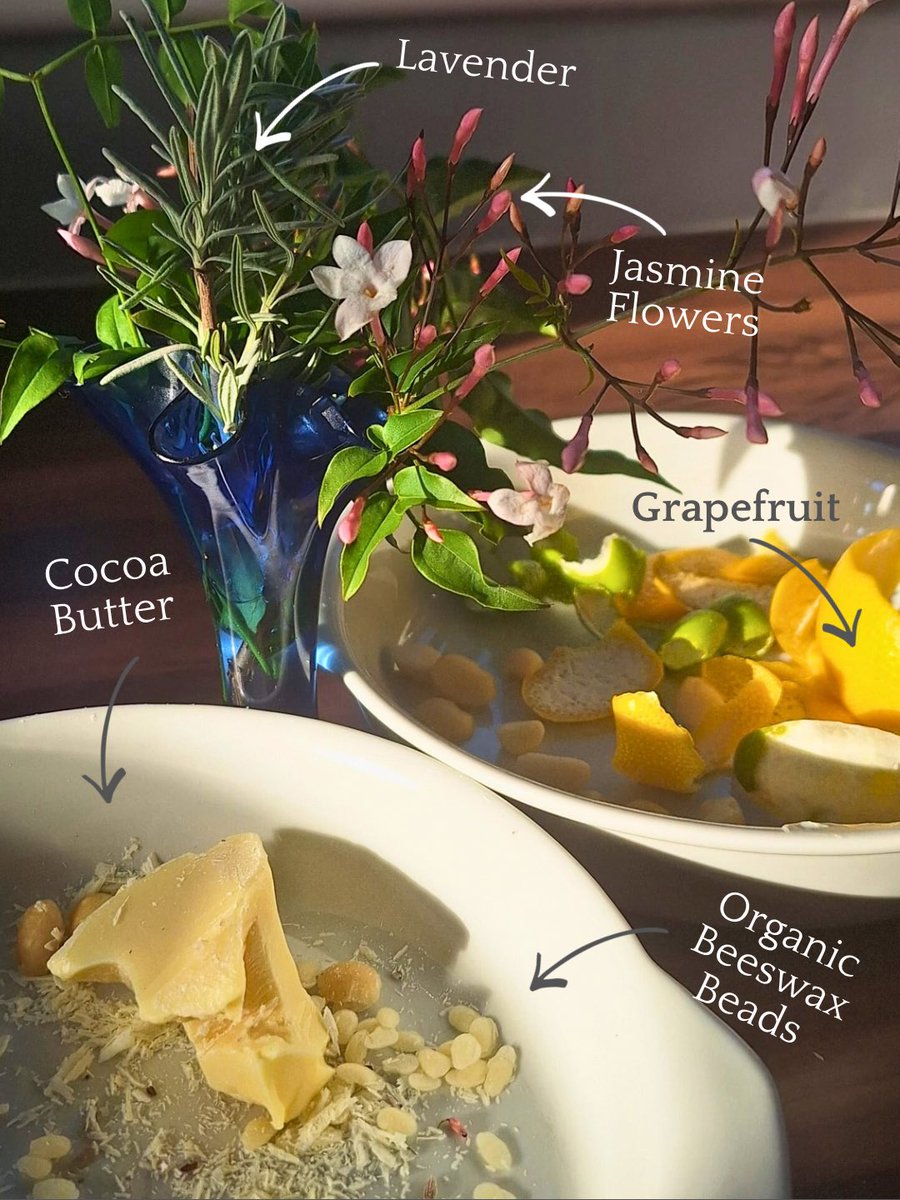 Louisa Alessandra Pini tweet media