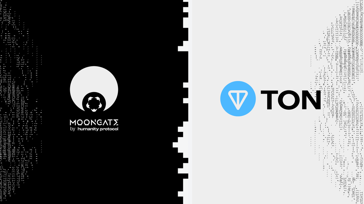 Moongate tweet media