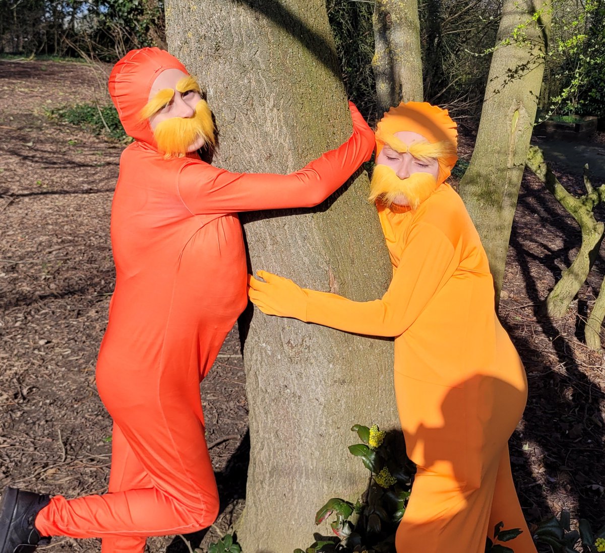 Springfield Primary School tweet media