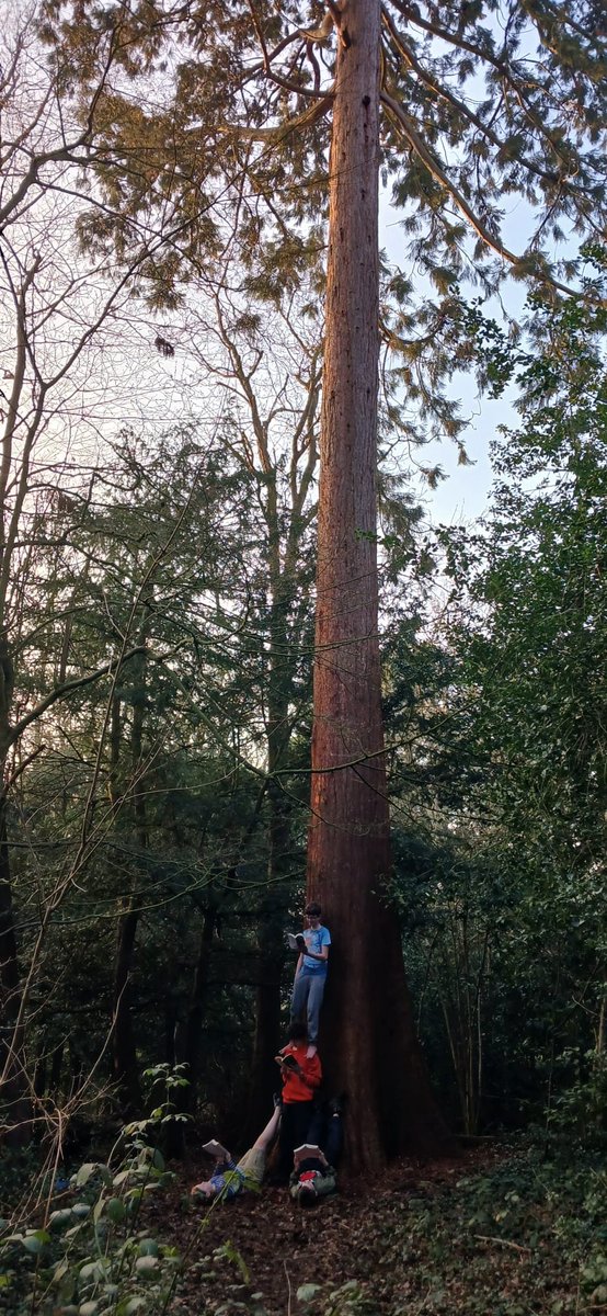 Chris Howles tweet media