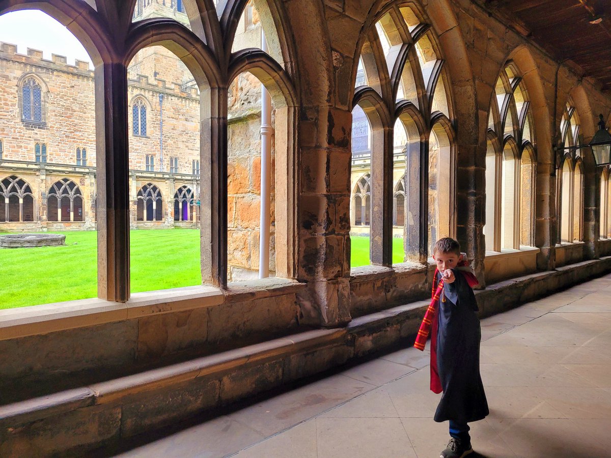 DCathFriends tweet media