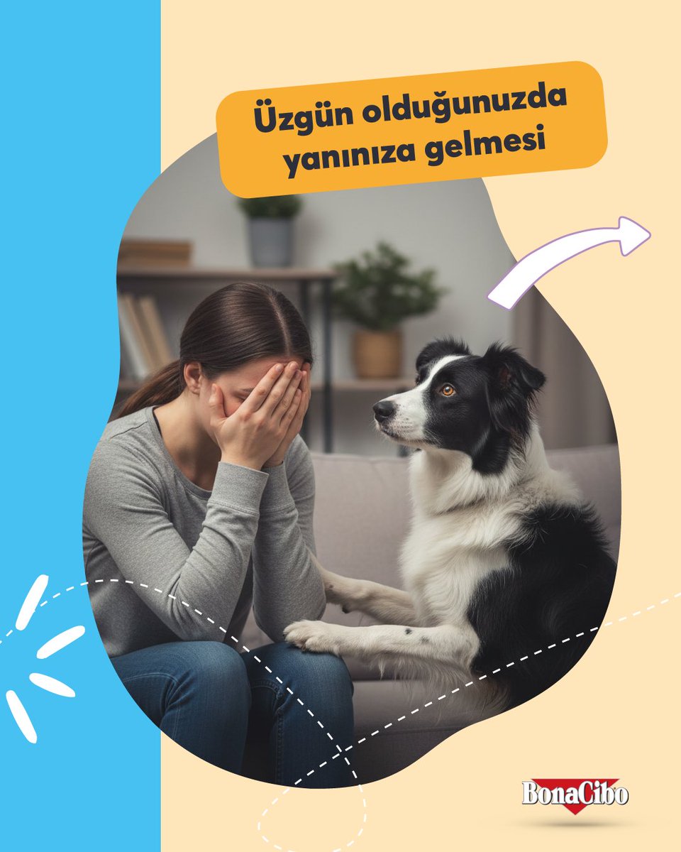 Bonacibo Cat & Dog Food tweet media