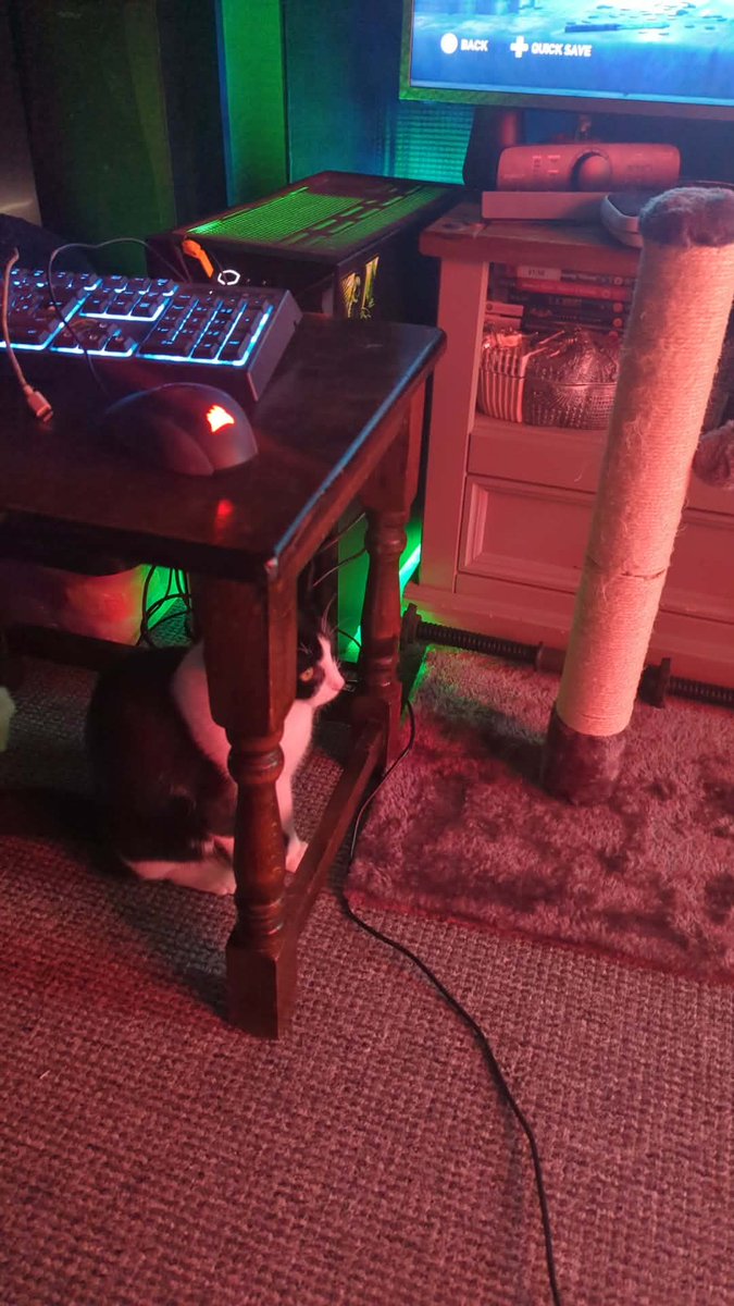 PoisonxDoll's tweet photo. Looks like she's tweaking out https://t.co/GEkRC0K2qY