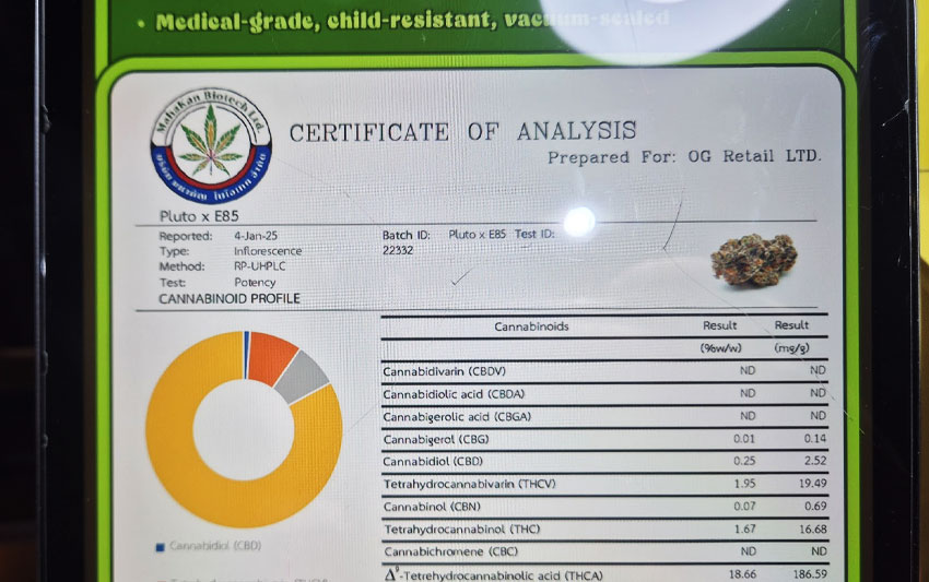 Kei | 日本文化を大切にする大麻盆栽家 tweet media