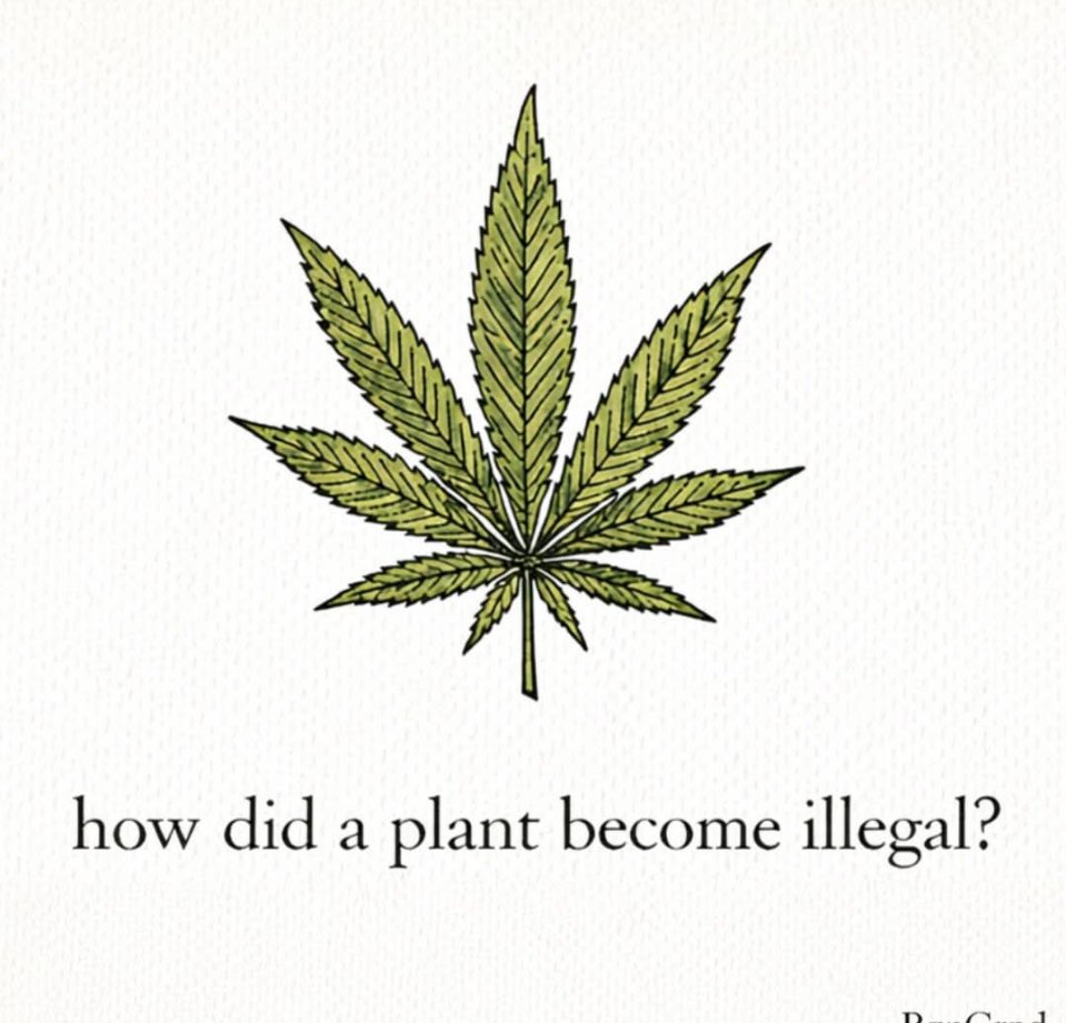 Kellsergirl81😇 tweet media