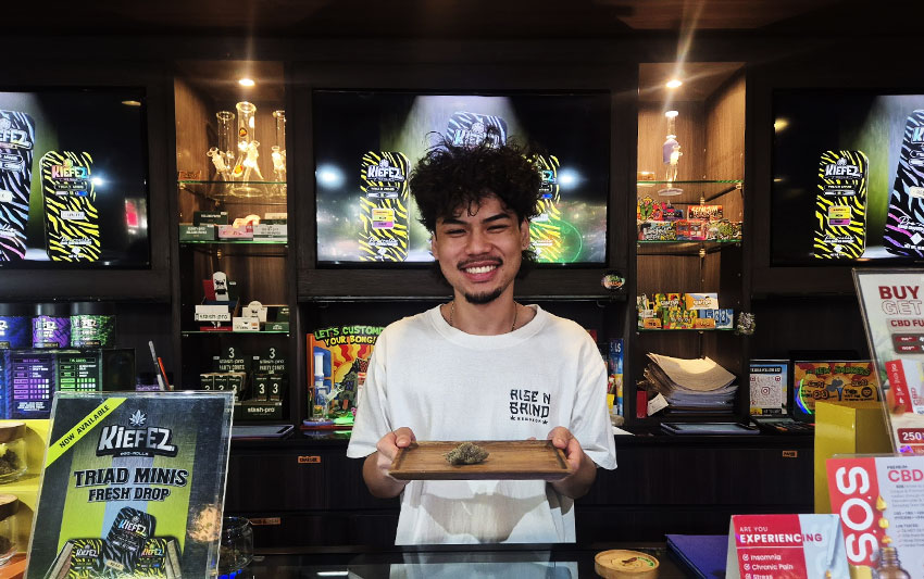 Kei | 日本文化を大切にする大麻盆栽家 tweet media