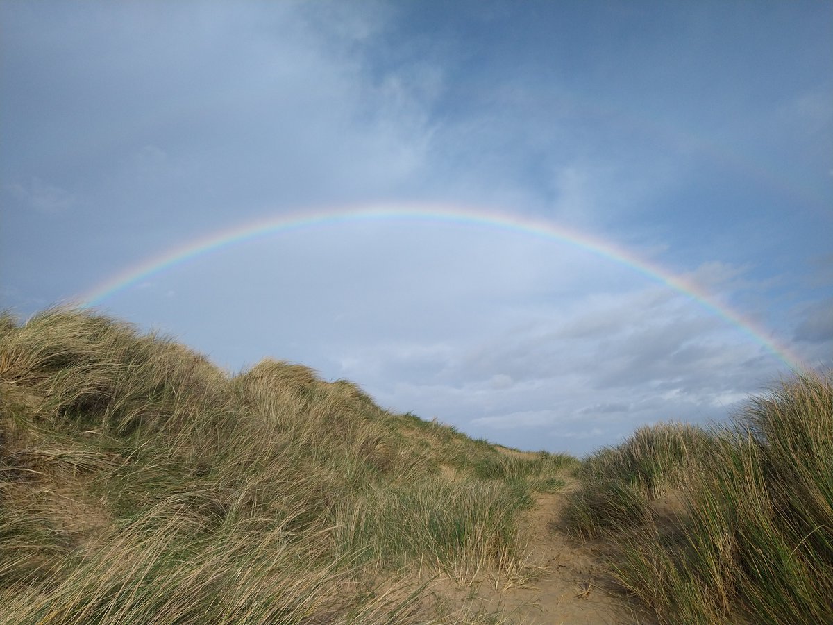 Penny Woods tweet media