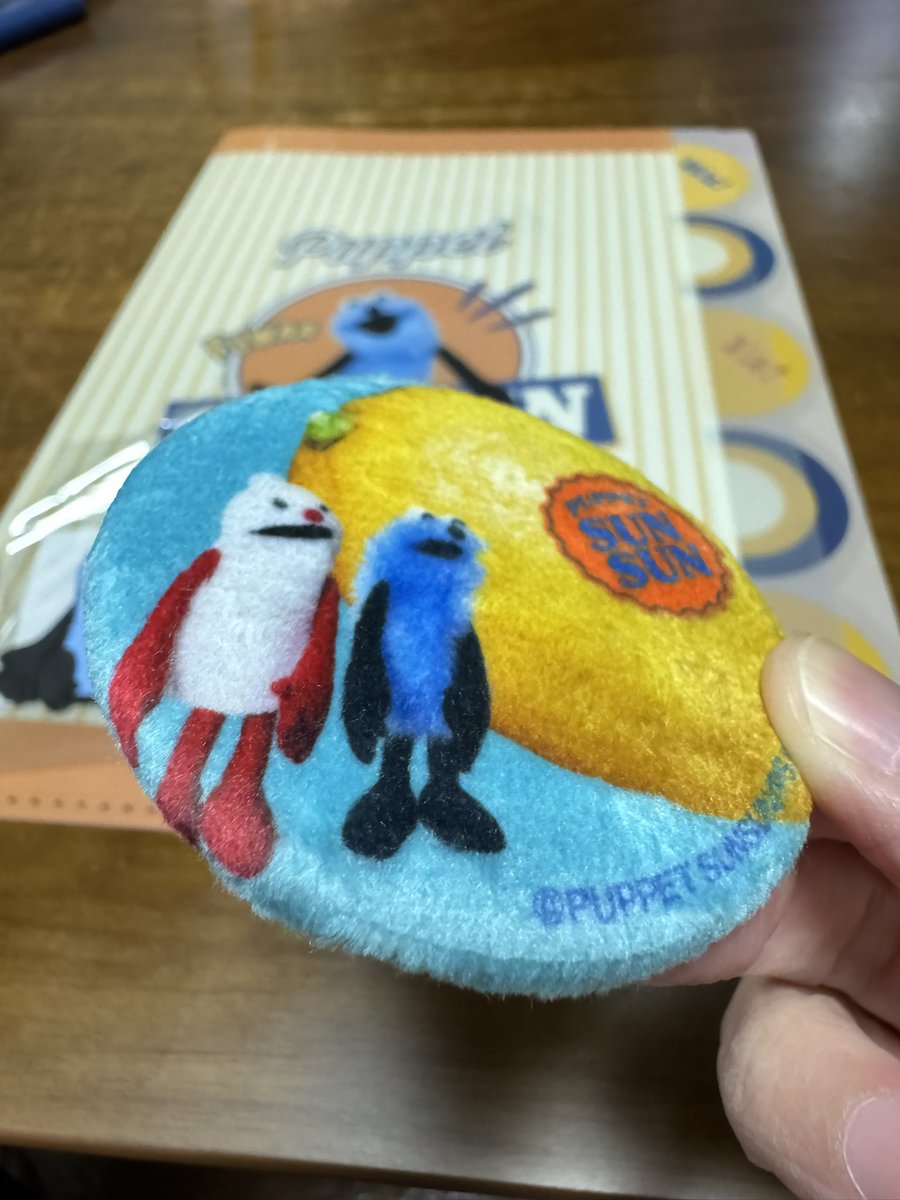 ねこっこ (@nekokkoooo) / Posts / X