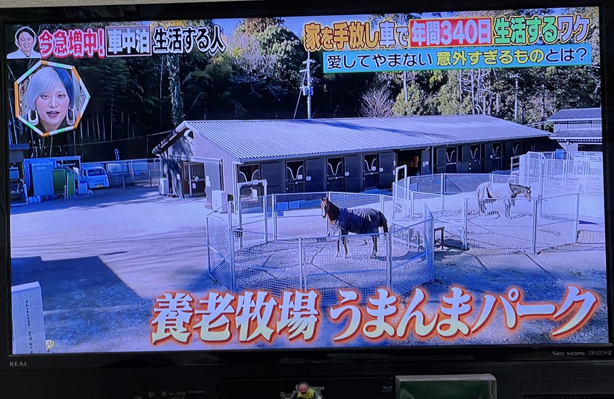 浜です。 tweet media