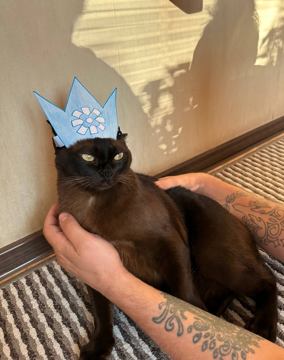 Walrus_Afanasiy tweet media