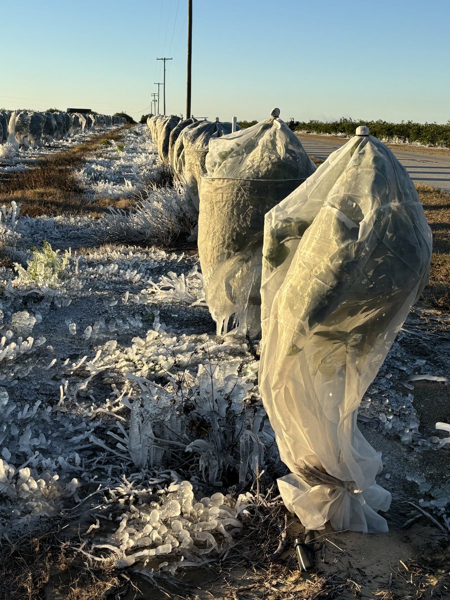 Wilton Simpson tweet media