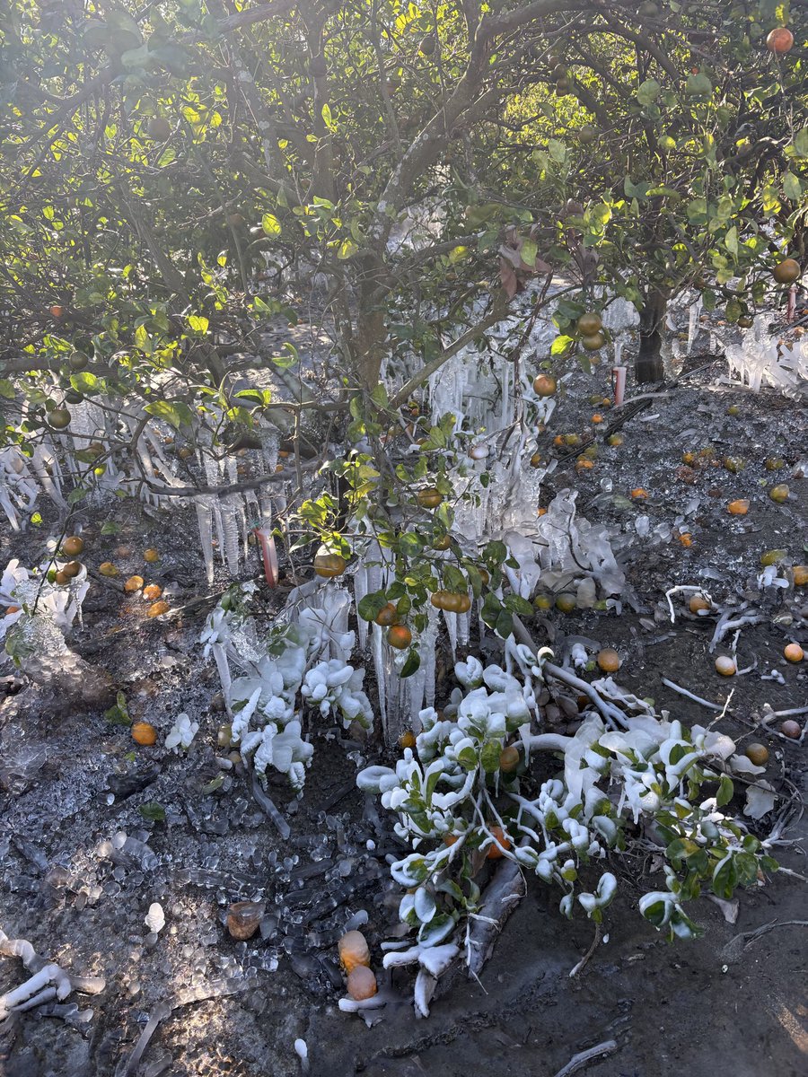 Wilton Simpson tweet media