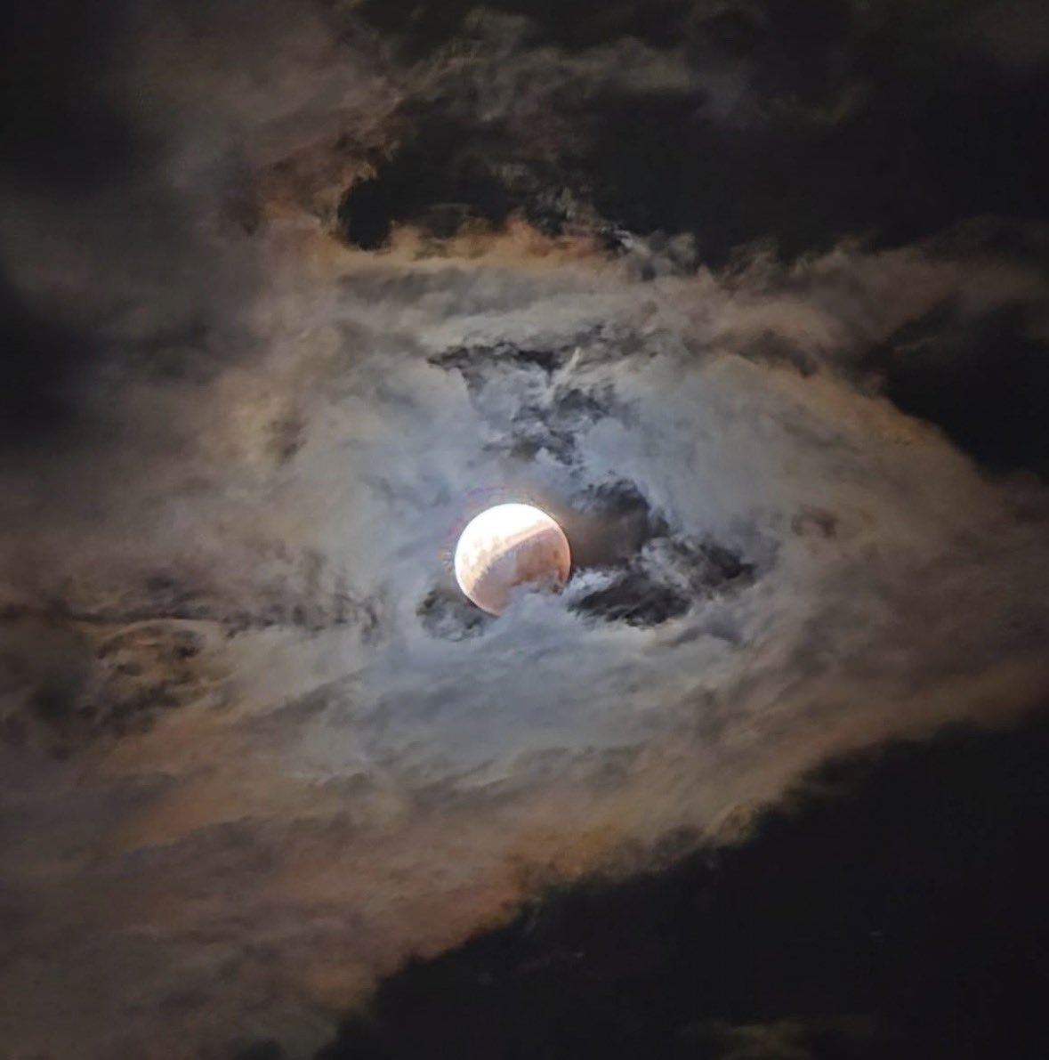 SheClicks tweet media