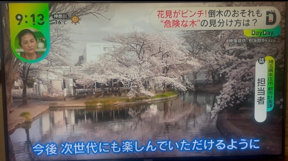 BASSSL69's tweet photo. こんなことがぁ…。夢みたい。
映像提供にも名前が😀
にしても、桜の映像を撮ってるとは思えない名前だな。

#DayDay #桜 #YouTube #本庄市 https://t.co/9nHWH3XwRn