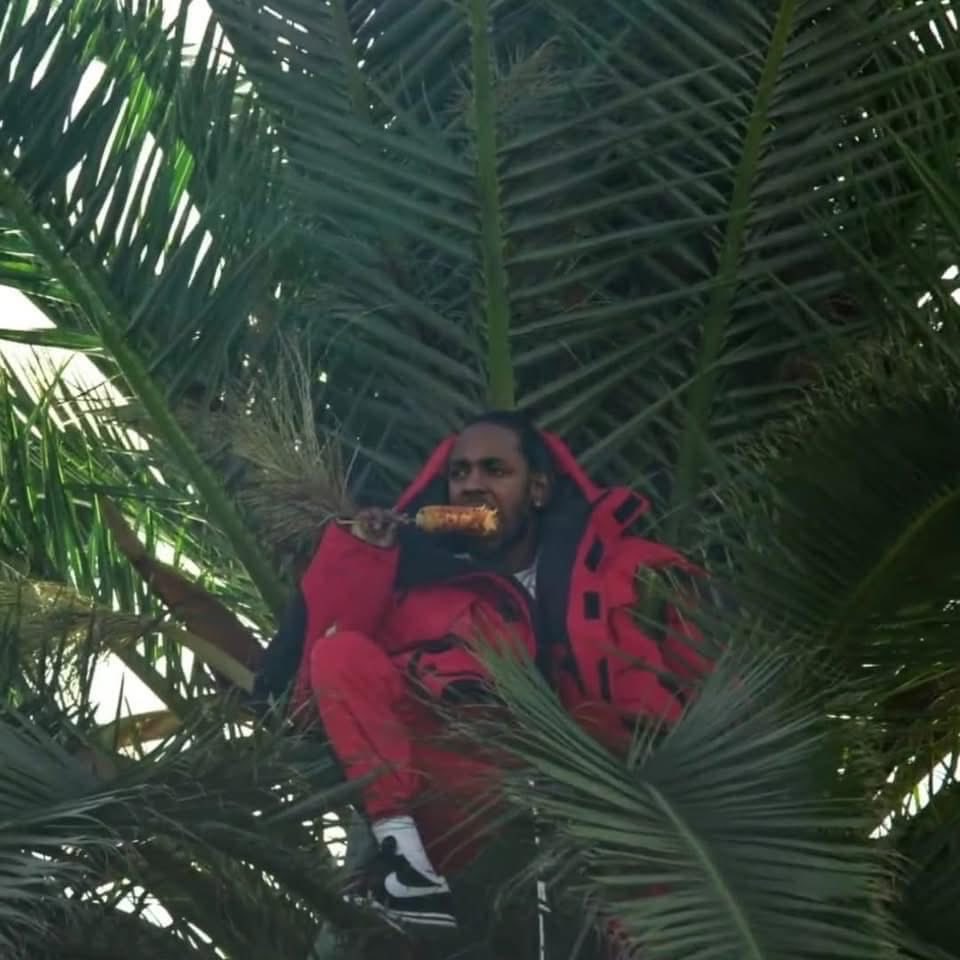 La vida me exige mucho, y yo solo quiero ser como Kendrick Lamar, disfrutando de un elote con ch1l3 arriba de una palmera.