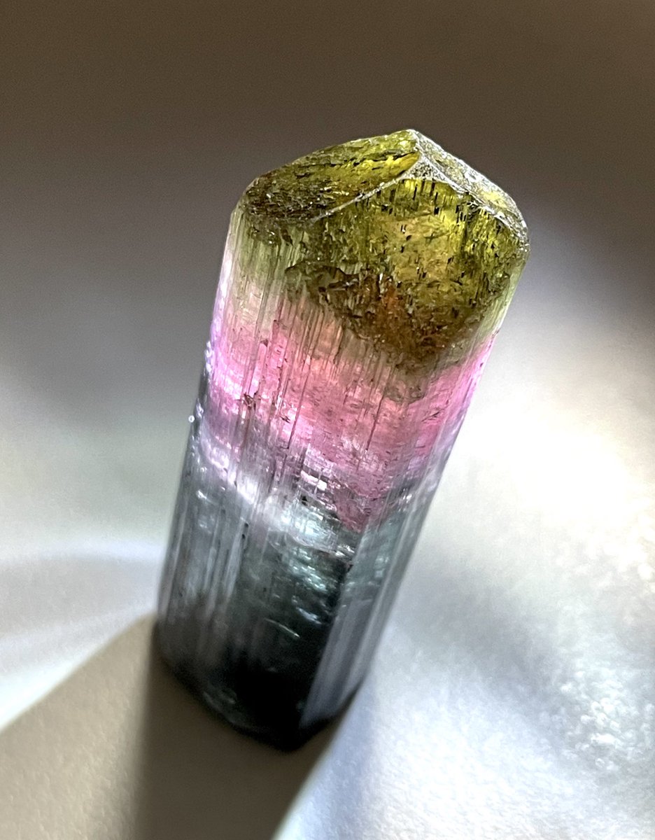 Tom (@tomtourmaline) / Posts / X