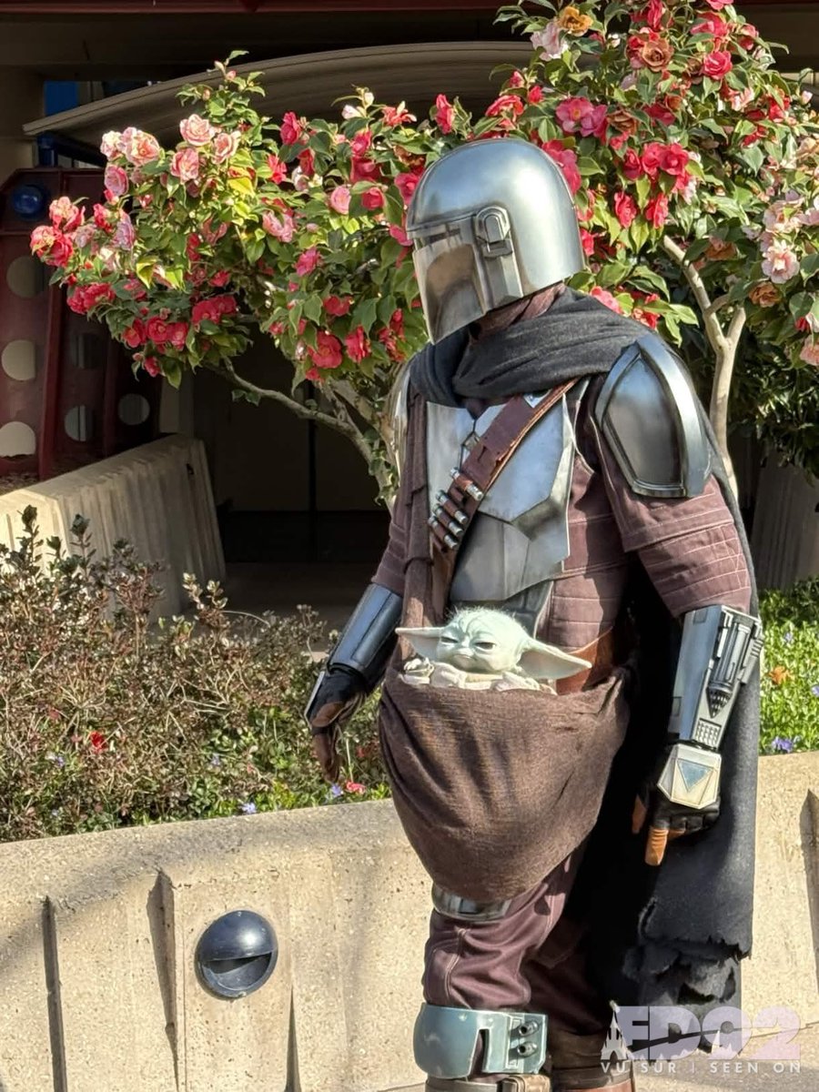 ED92Magic's tweet image. ‘This is the way’

Mando and Grogu are out and about today, just enjoying the sun and flowers 🌸  spring is coming ✨

#Mandalorian #DisneylandParis