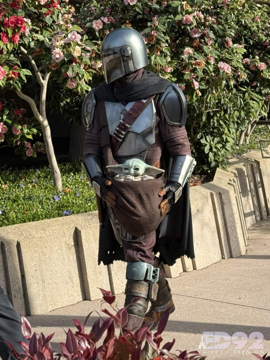 ED92Magic's tweet image. ‘This is the way’

Mando and Grogu are out and about today, just enjoying the sun and flowers 🌸  spring is coming ✨

#Mandalorian #DisneylandParis