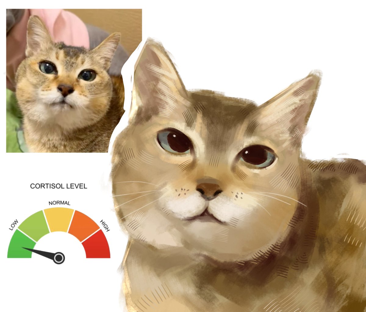 cucumber salad tweet media