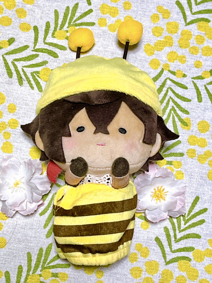 いぶき🌱 (@ibuki_to) / Posts / X