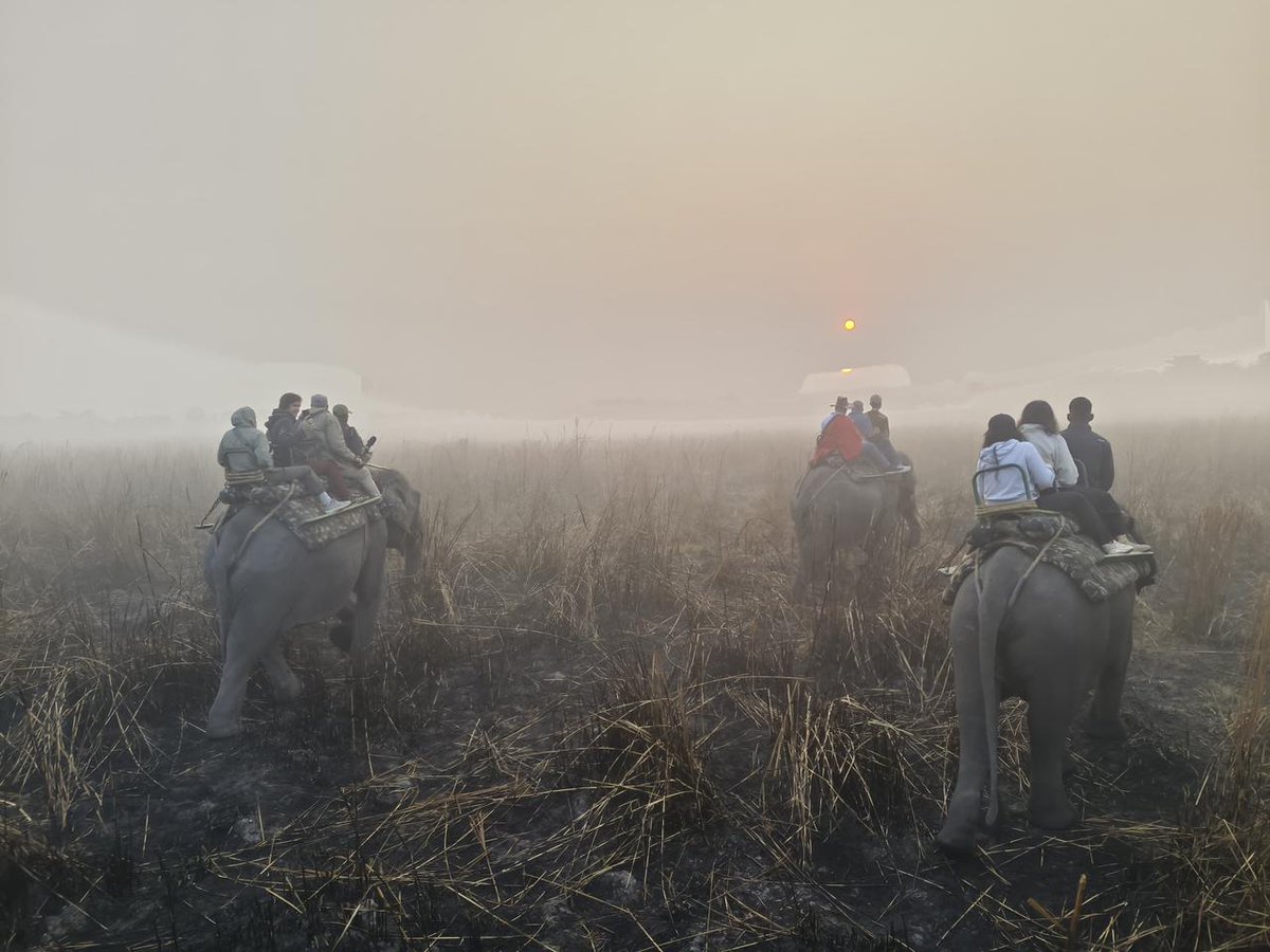 Officer Trainees - Indian Information Service 🇮🇳 tweet media