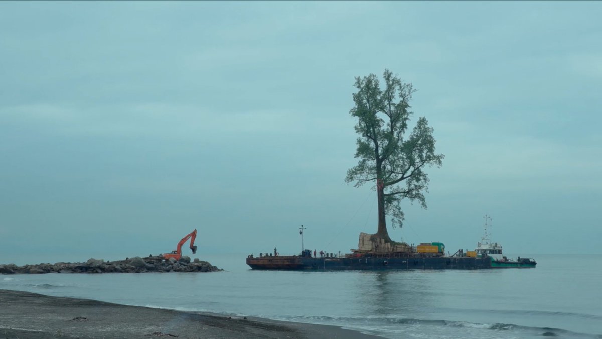 SALT_Online's tweet photo. Gürcistan’ın eski başbakanı, kimisi on beş katlı bir bina uzunluğundaki devasa ağaçları söktürüp kıyı şeridindeki özel bahçesine naklettiriyor. Bu nakiller, araziyi kökten değiştiriyor: Ağaçlar kesiliyor, mandalina bahçelerine yollar açılıyor, elektrik hatları baştan döşeniyor.

“Taming the Garden” [Bahçeyi Evcilleştirmek] (2021) mülkiyet, yerinden etme ve peyzajın dönüşümüne dair eleştirel bir bakış sunuyor.

Çevrimiçi izlemek ve ayrıntılı bilgi edinmek için: https://t.co/XHXISMf7zt