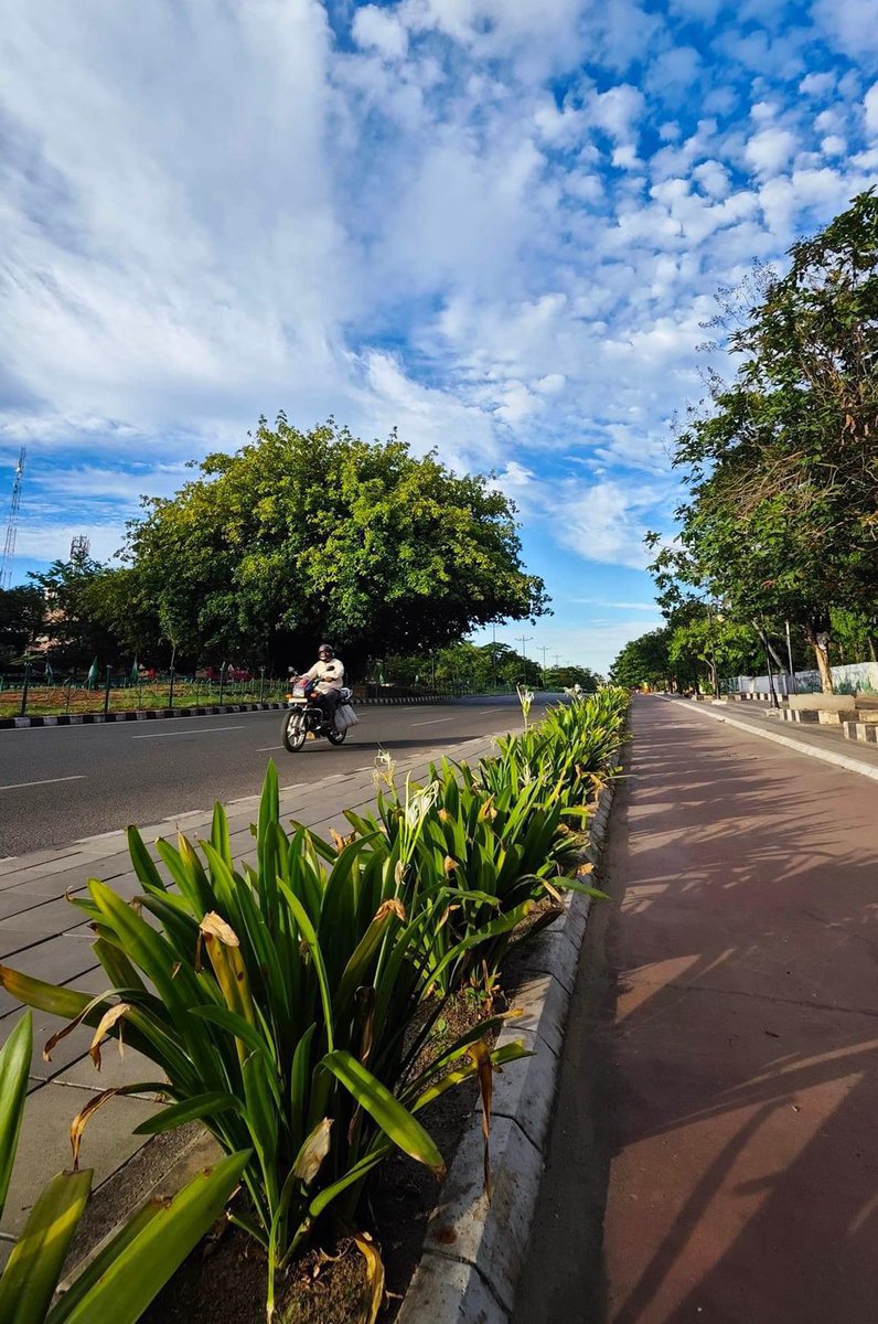 Manas Muduli tweet media