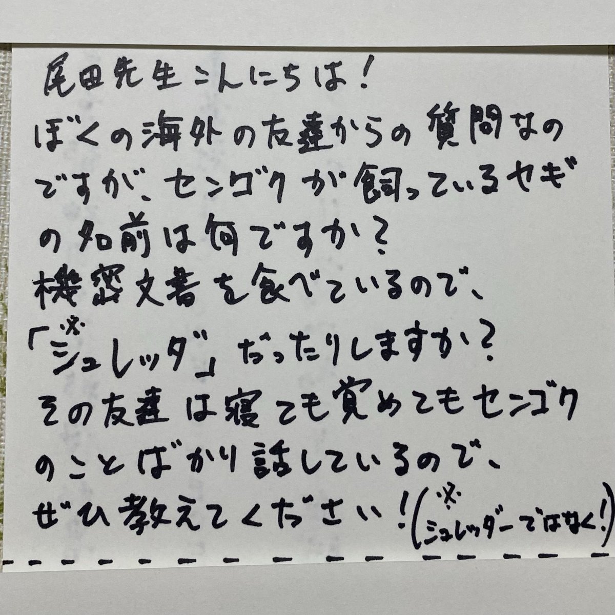 SReminal's tweet photo. Hello Oda-sensei!
I have a question from a friend of mine overseas. What’s the name of the goat Sengoku keeps?
Since it’s always eating confidential documents, is its name something like “Shredda”?
My friend talks about Sengoku literally all the time, so we’d really love to know! https://t.co/ywiEOzngVH