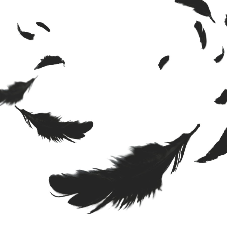 𝑴𝙸𝚁𝙰𝙽𝙳𝙰 . tweet media