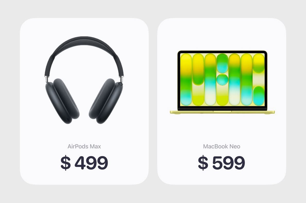 𝕆𝕞𝕒𝕣 ✨ tweet media