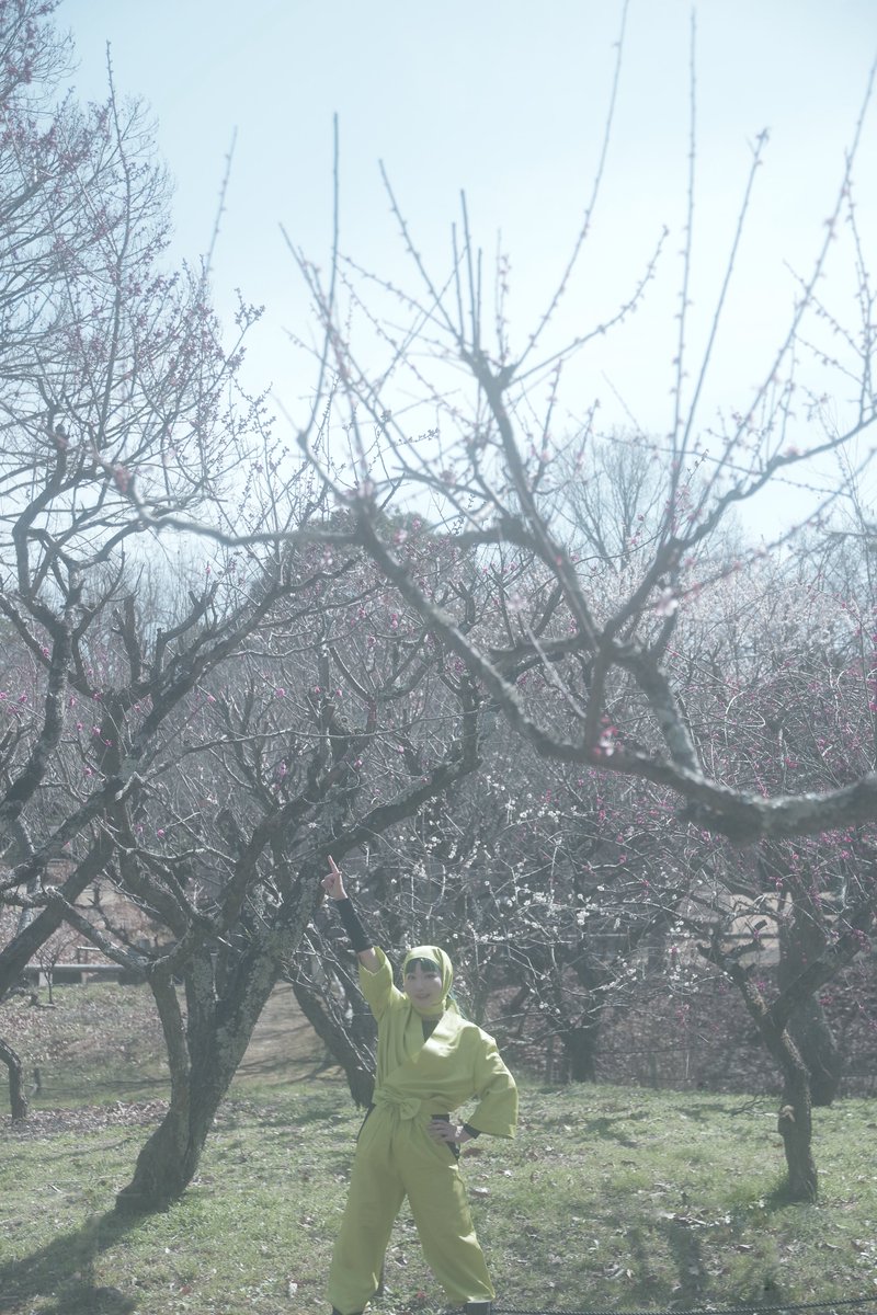 【cos】 🥷🥚 // 神崎左門

・

司馬法にいわくッ!!
   「進退は疑うなかれ」だーッ!!!!

・

Photo:<a href="/ojisan_mg02/">ᴍᴇɢᴜ</a>
#0301お団子いっぱい会計委員会