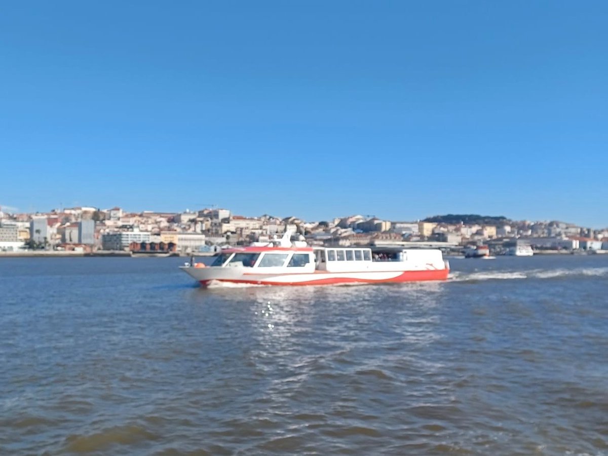 AIM Group Int tweet media