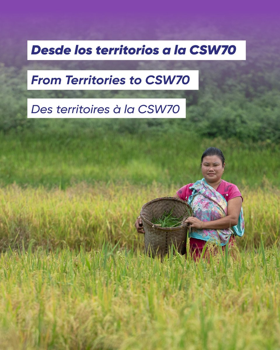 FIMI-IIWF tweet media