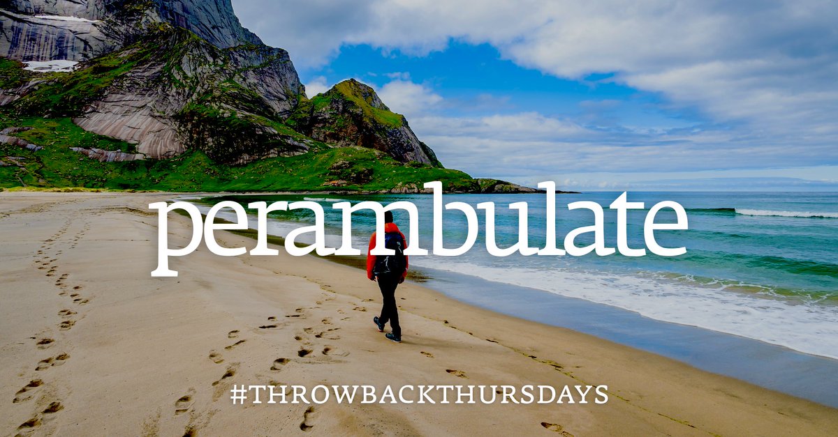 Collins Dictionary tweet media